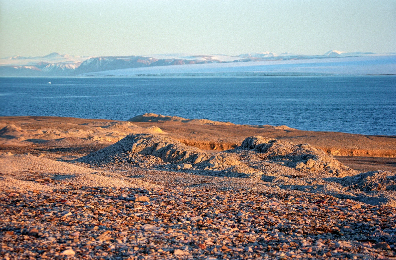 Réserve naturelle de Nordaust-Svalbard, Svalbard et Jan Mayen