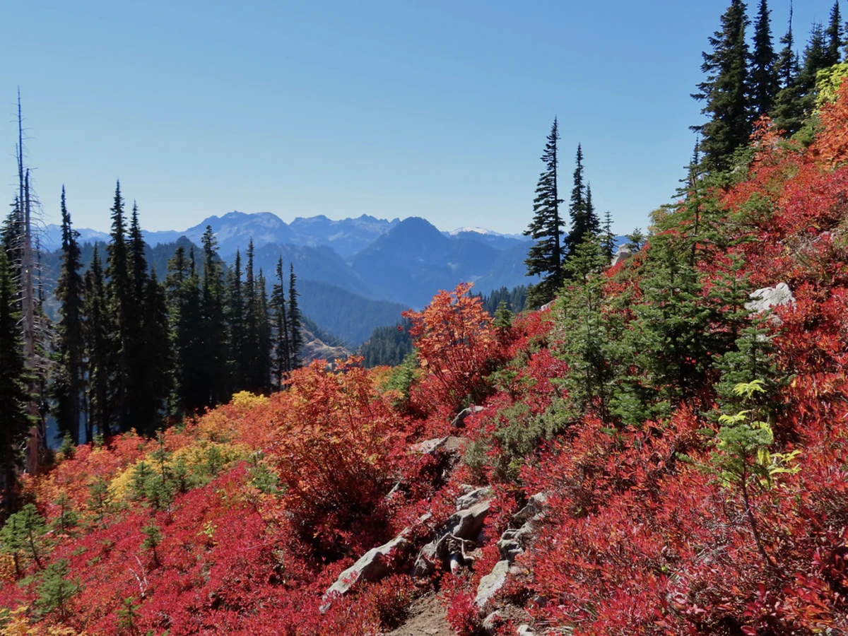 Alpine Lakes Wilderness, États-Unis