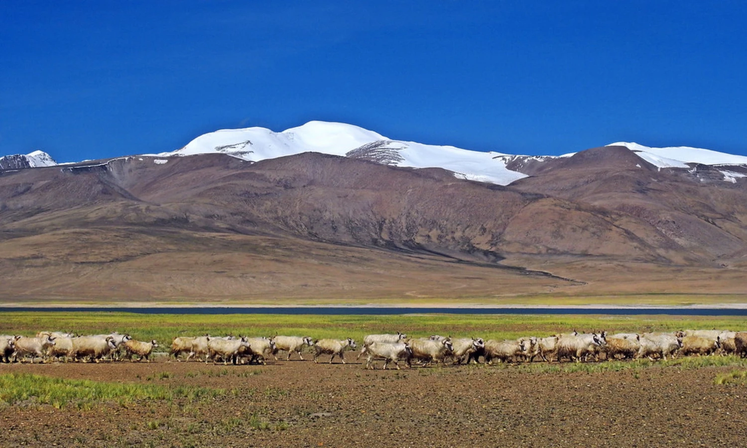 Ryul Tso, Inde