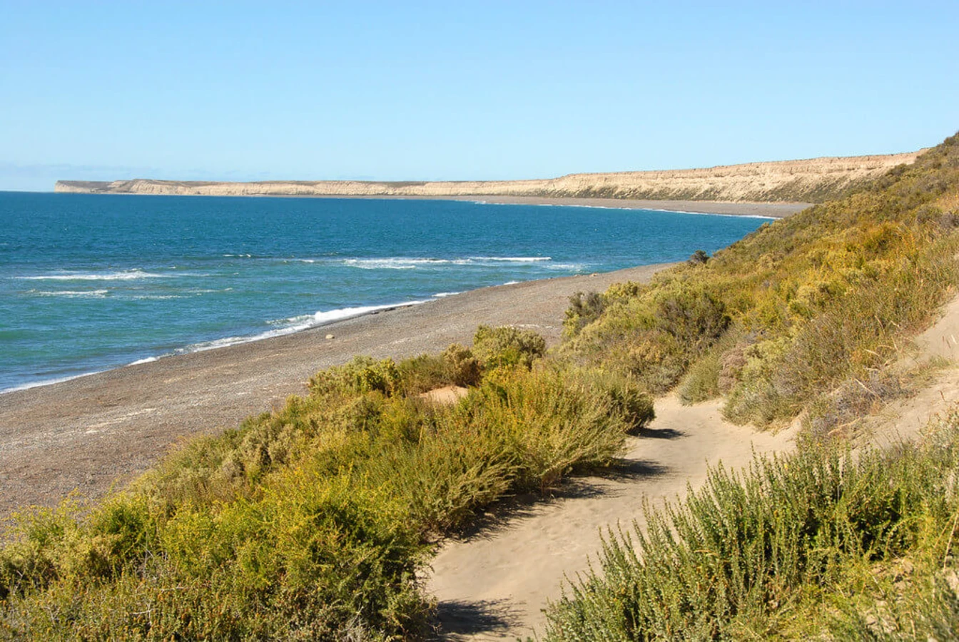 Péninsule Valdés, Argentine