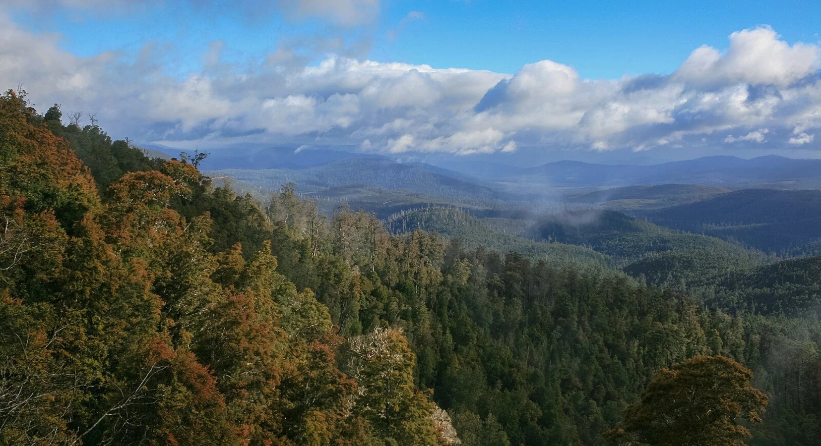 Parc national des Hartz Mountains, Australie, Tasmanie