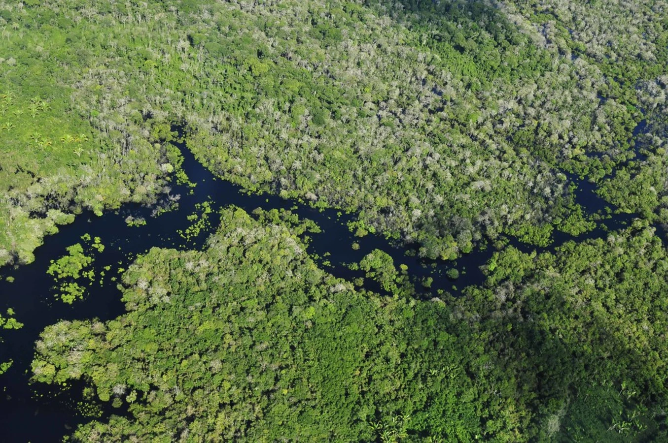 Delta de l'Amazone, Brésil, Brésil