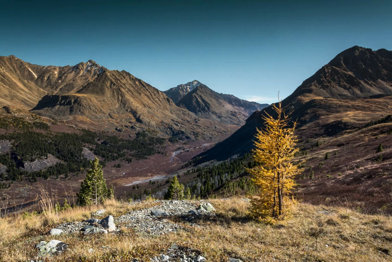 Montagnes dorées de l'Altaï, Russie, Russie