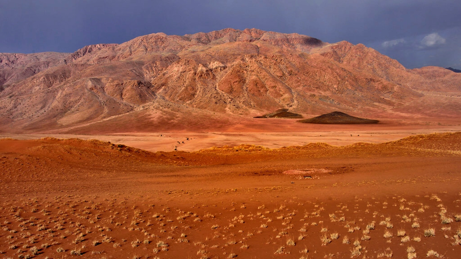 Réserve naturelle du NamibRand, Namibie