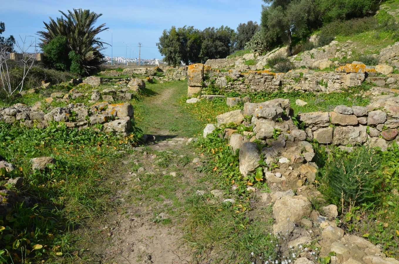 Site archéologique de Lixus, Maroc