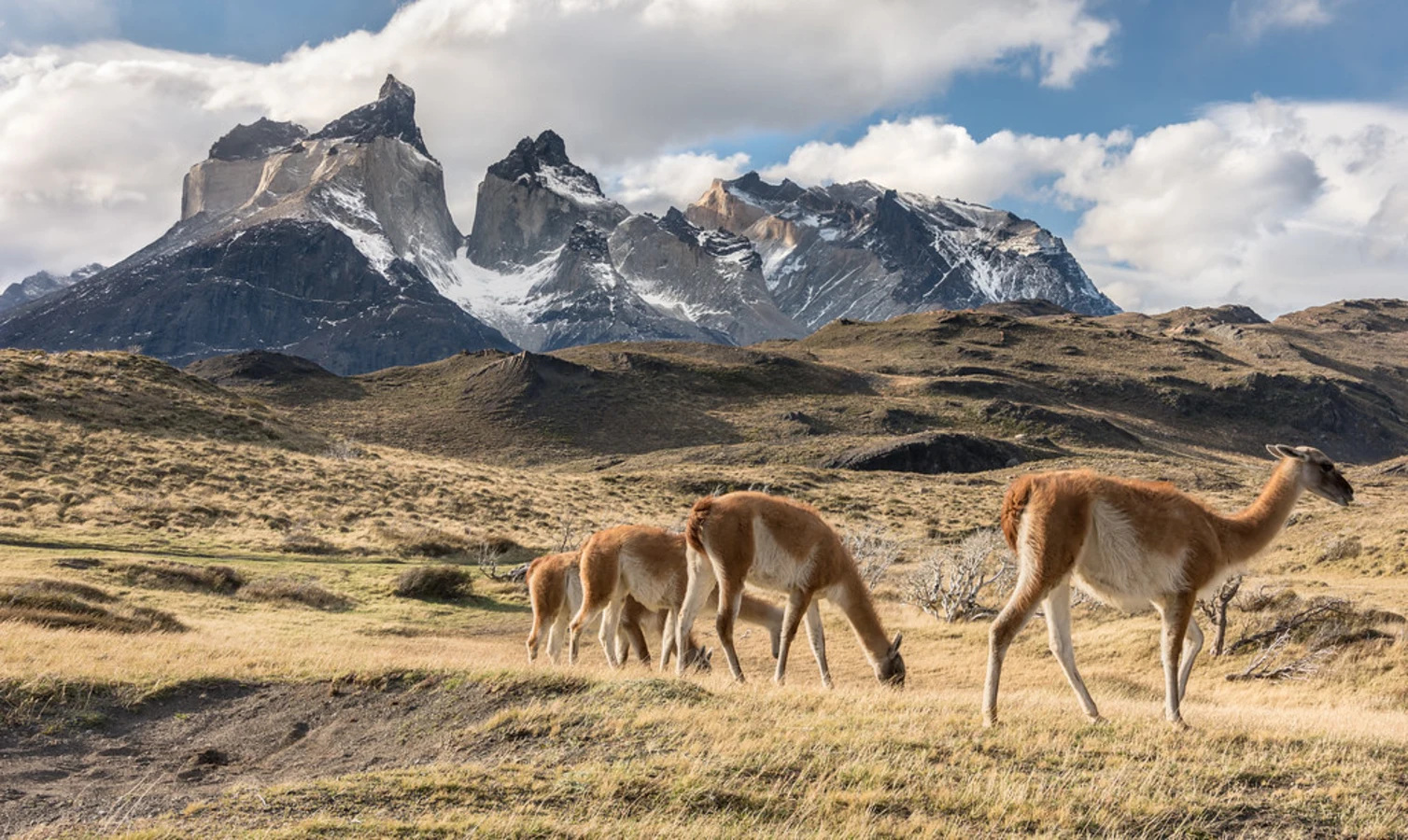 Mirador Cuernos, Chili