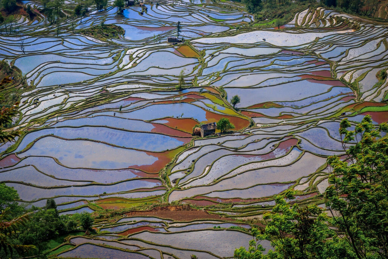 Rizières en terrasse des Hani de Honghe, Chine