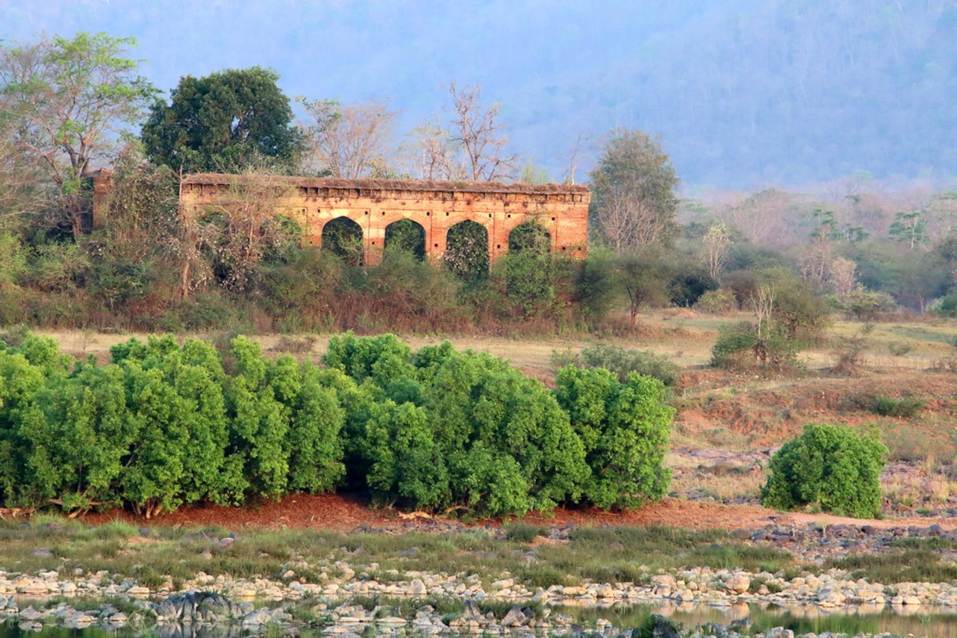 Parc national de Panna, Inde