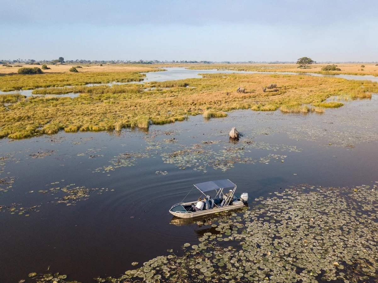 Selinda Game Reserve, Botswana