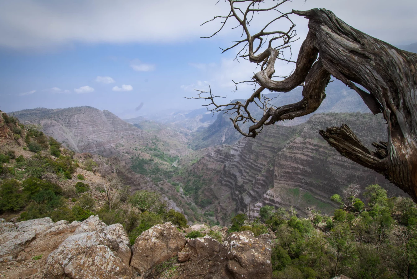 Parc national de la Forêt de Day, Djibouti