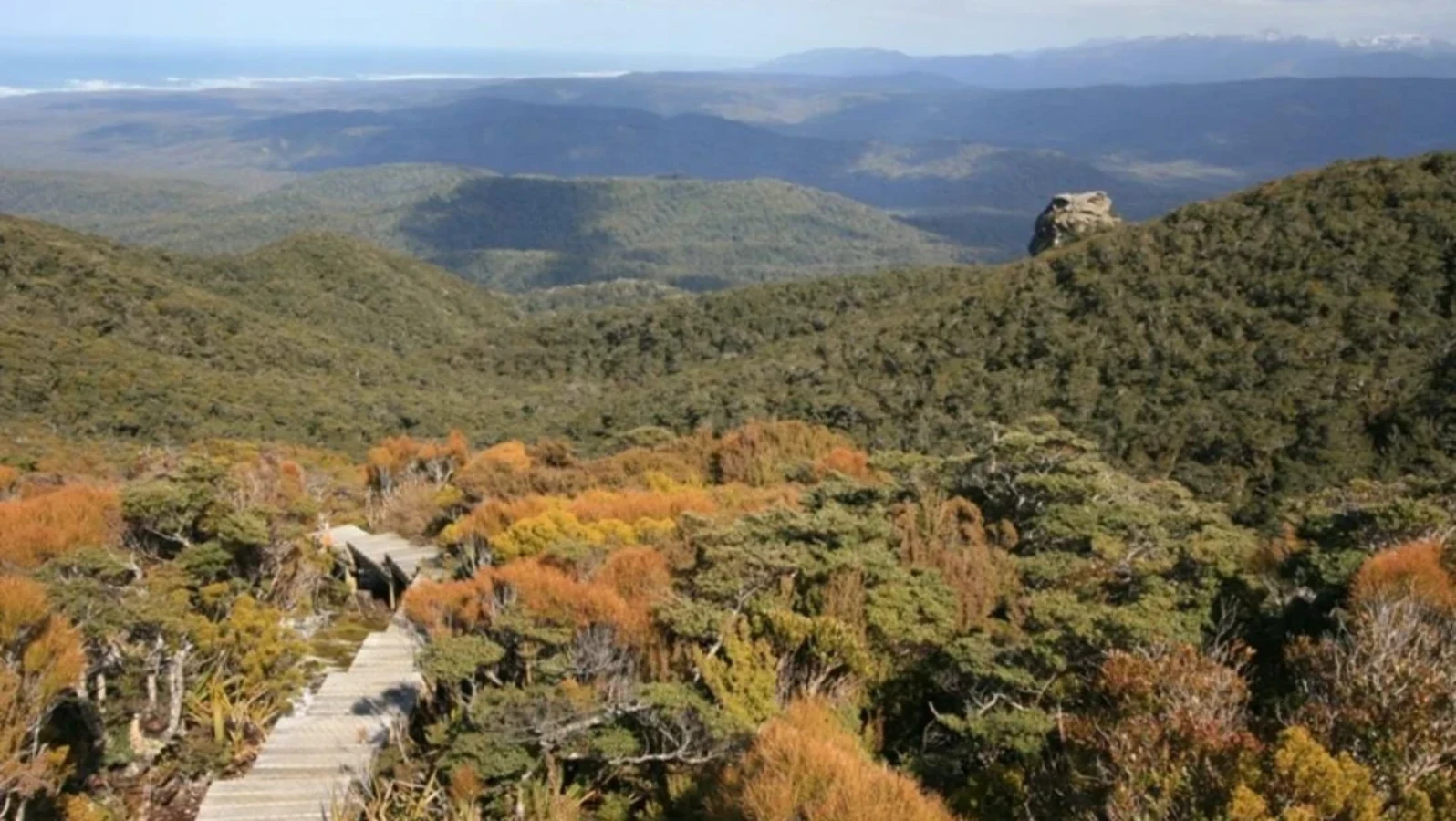 Hump Ridge Track, Nouvelle-Zélande