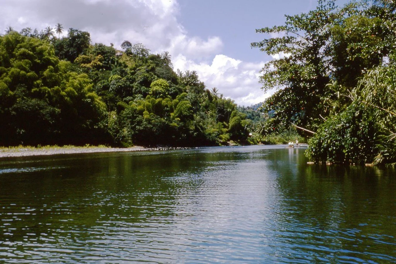 Rio Grande (Jamaïque), Jamaïque