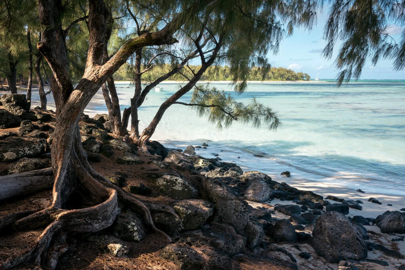 Île aux Cerfs, Maurice