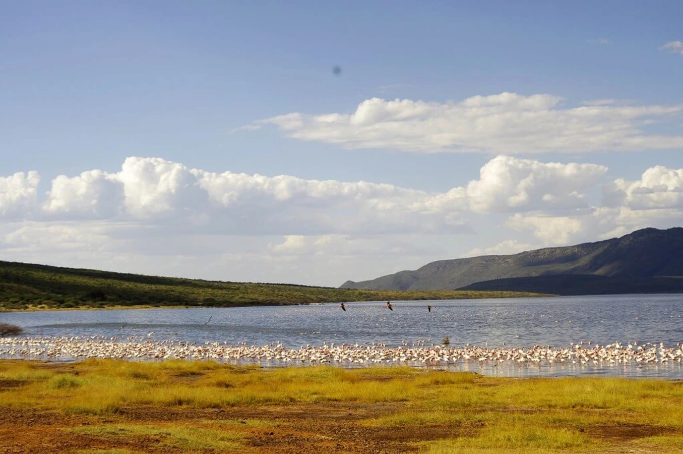 Lac Bogoria, Kenya