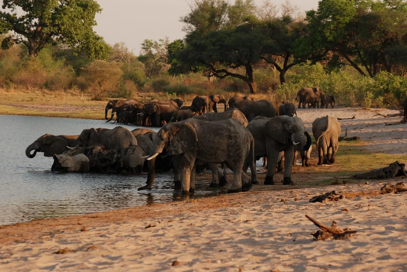 Parc national de Bwabwata, Namibie