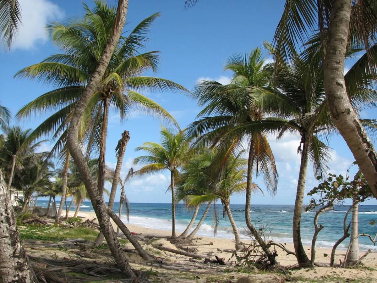 Long Bay, Jamaïque
