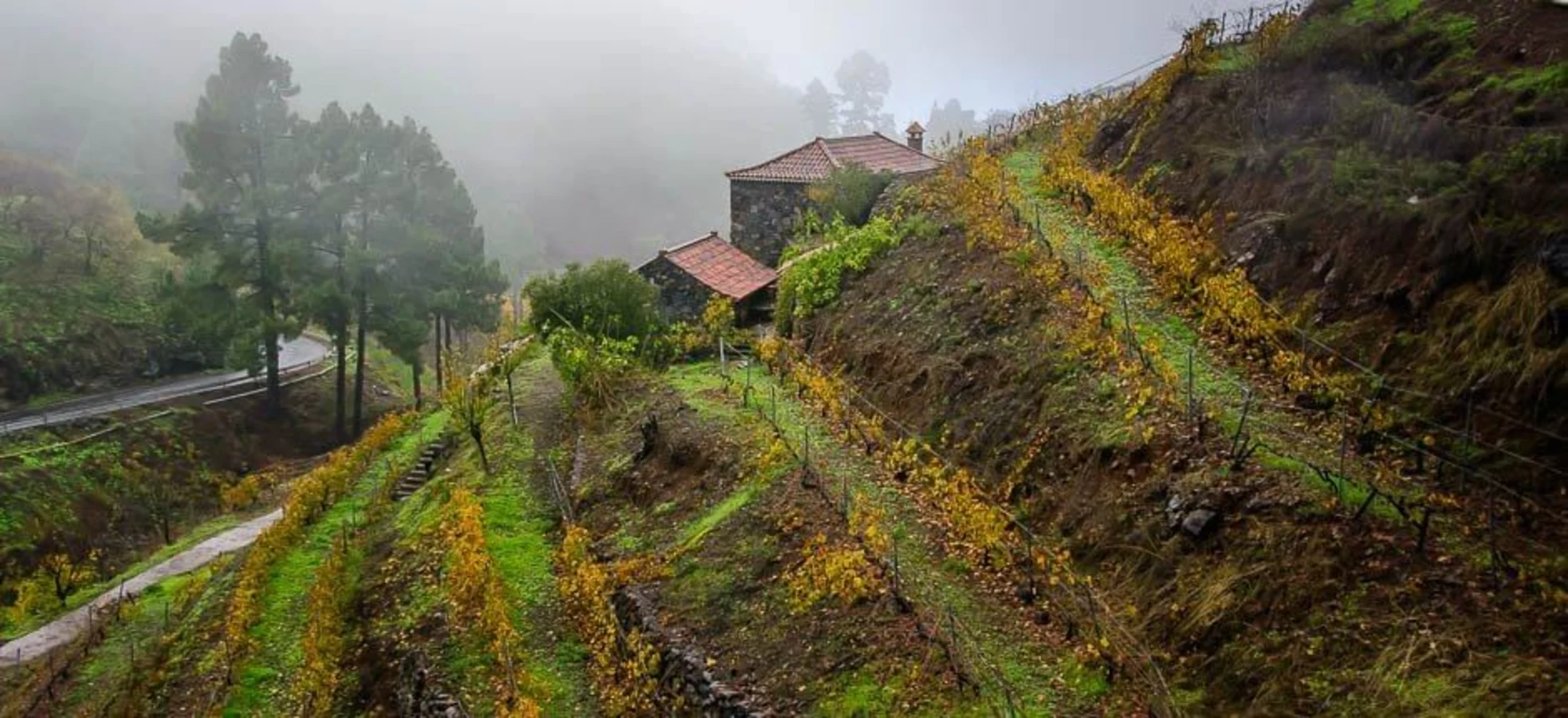 Ruta de Los Molinos, Espagne, Canaries