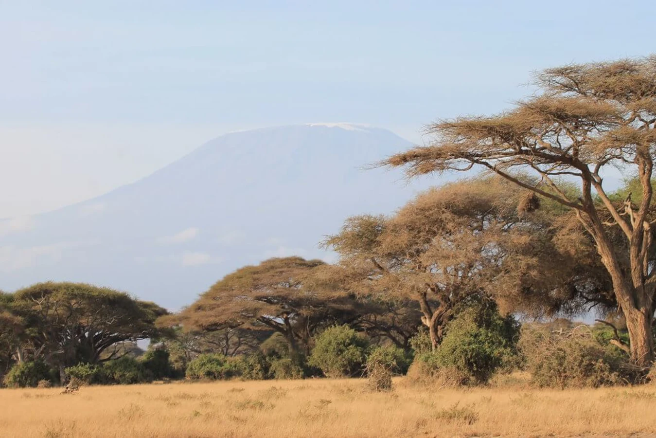 Parc national du mont Kenya, Kenya, Kenya