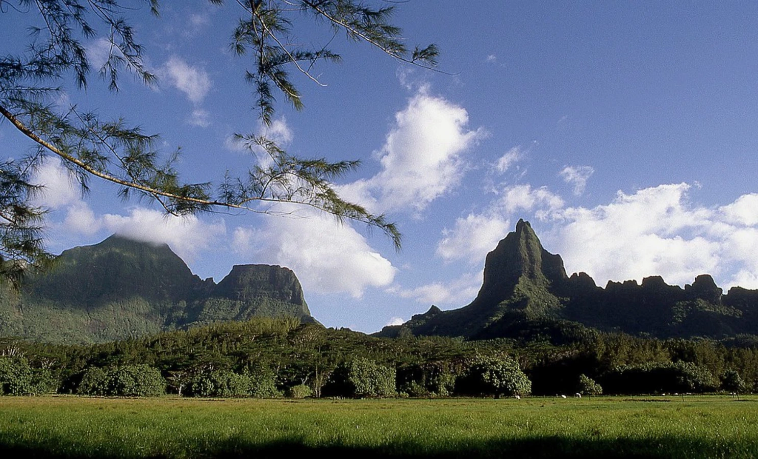 Mont Tohiea, Polynésie française