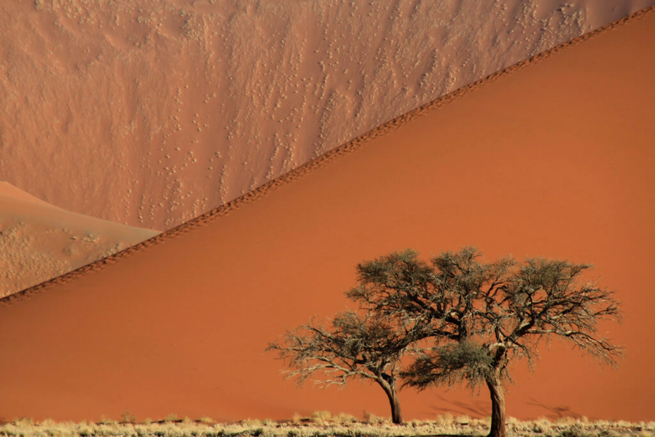 Sossusvlei, Namibie