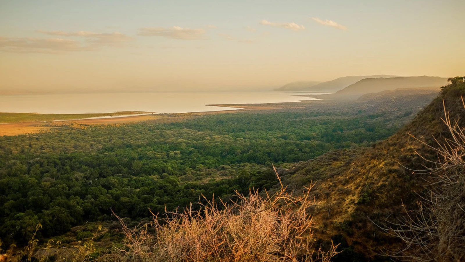 Parc national du lac Manyara, Tanzanie