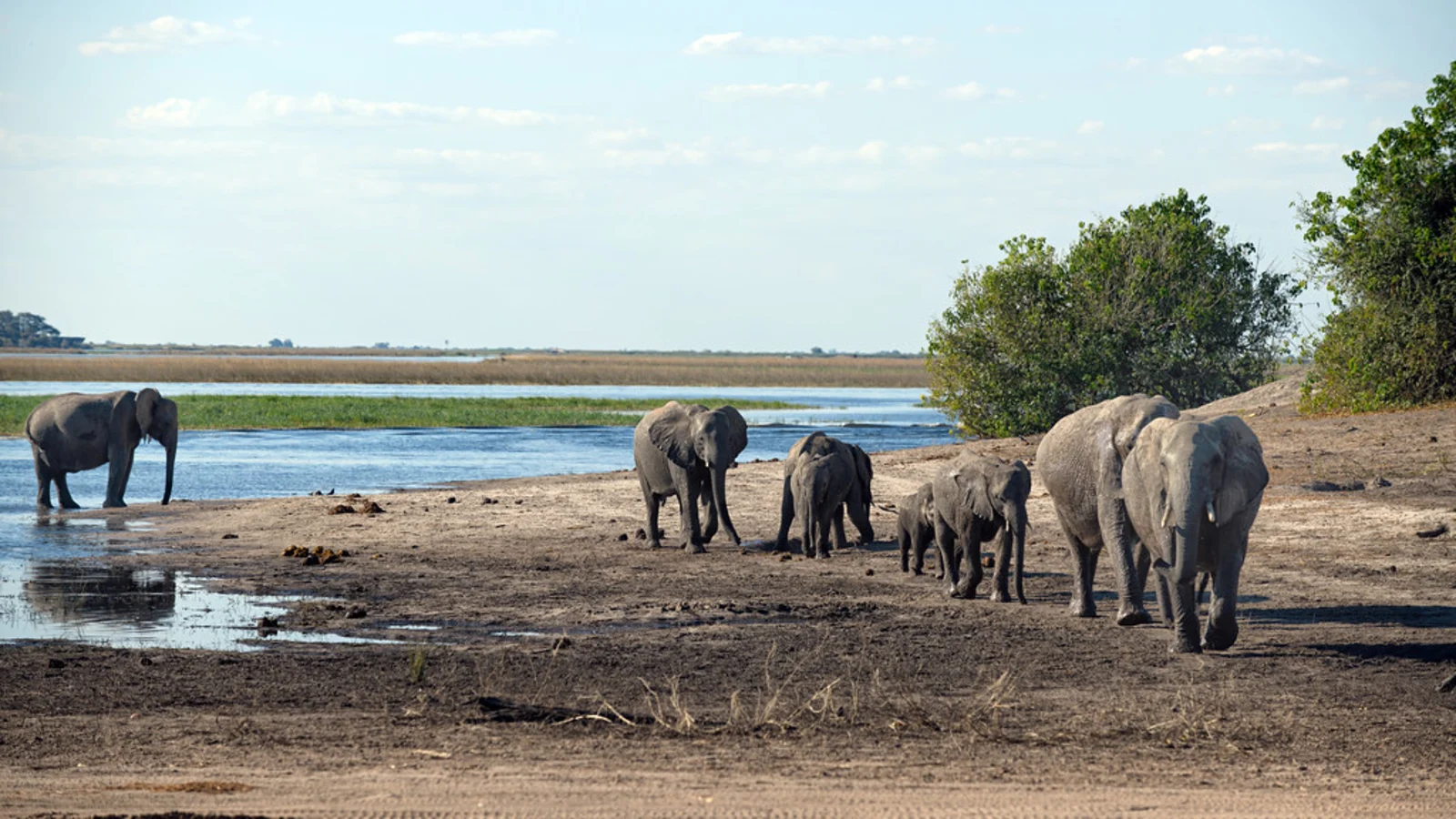 Chobe River Front, Botswana