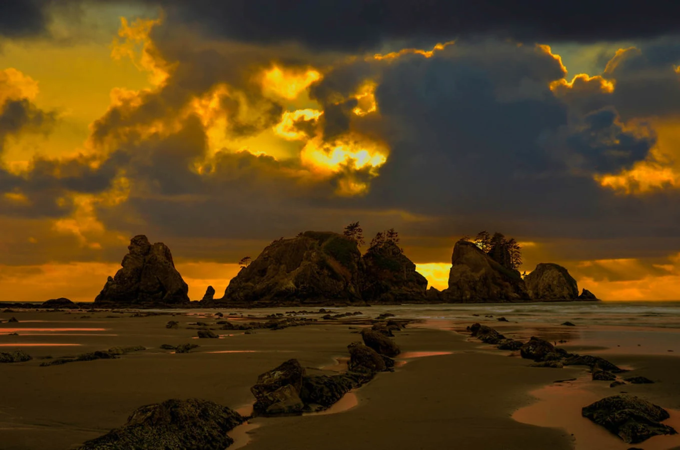 Shi-Shi Beach, États-Unis