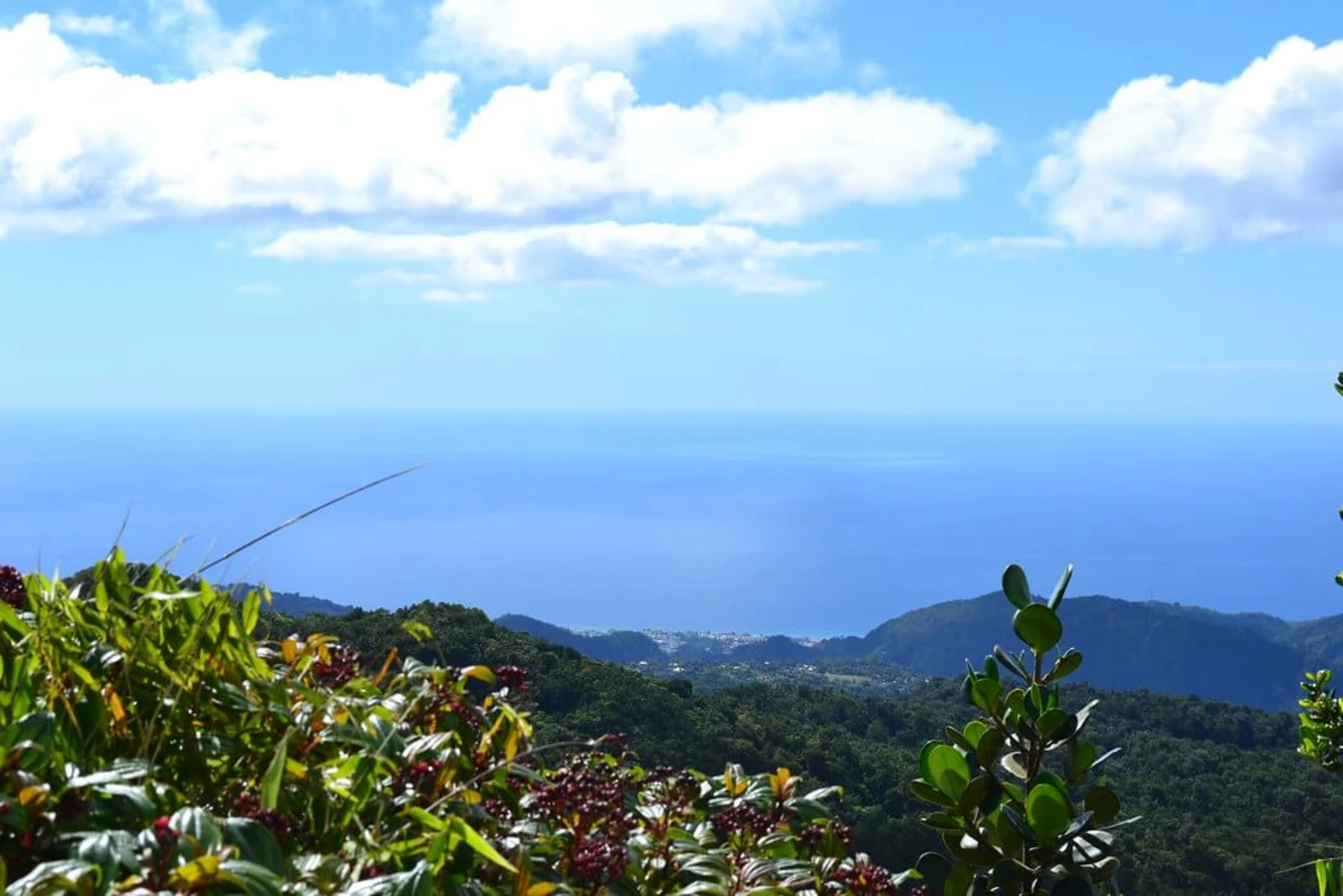 Parc national de Morne Trois Pitons, Dominique