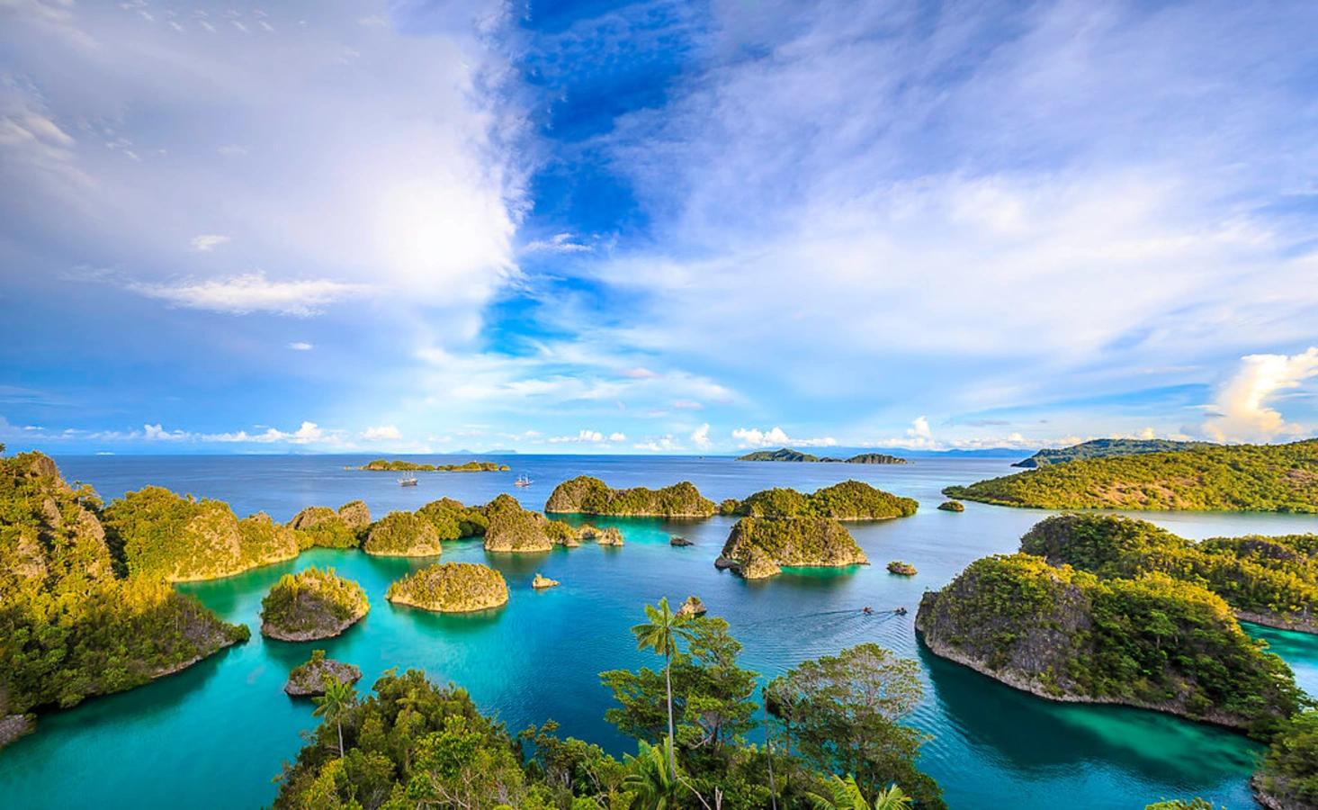 Îles Raja Ampat, Indonésie