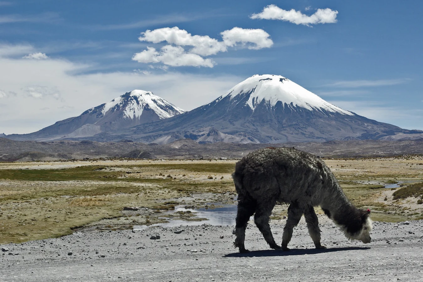 Parc national Lauca, Chili