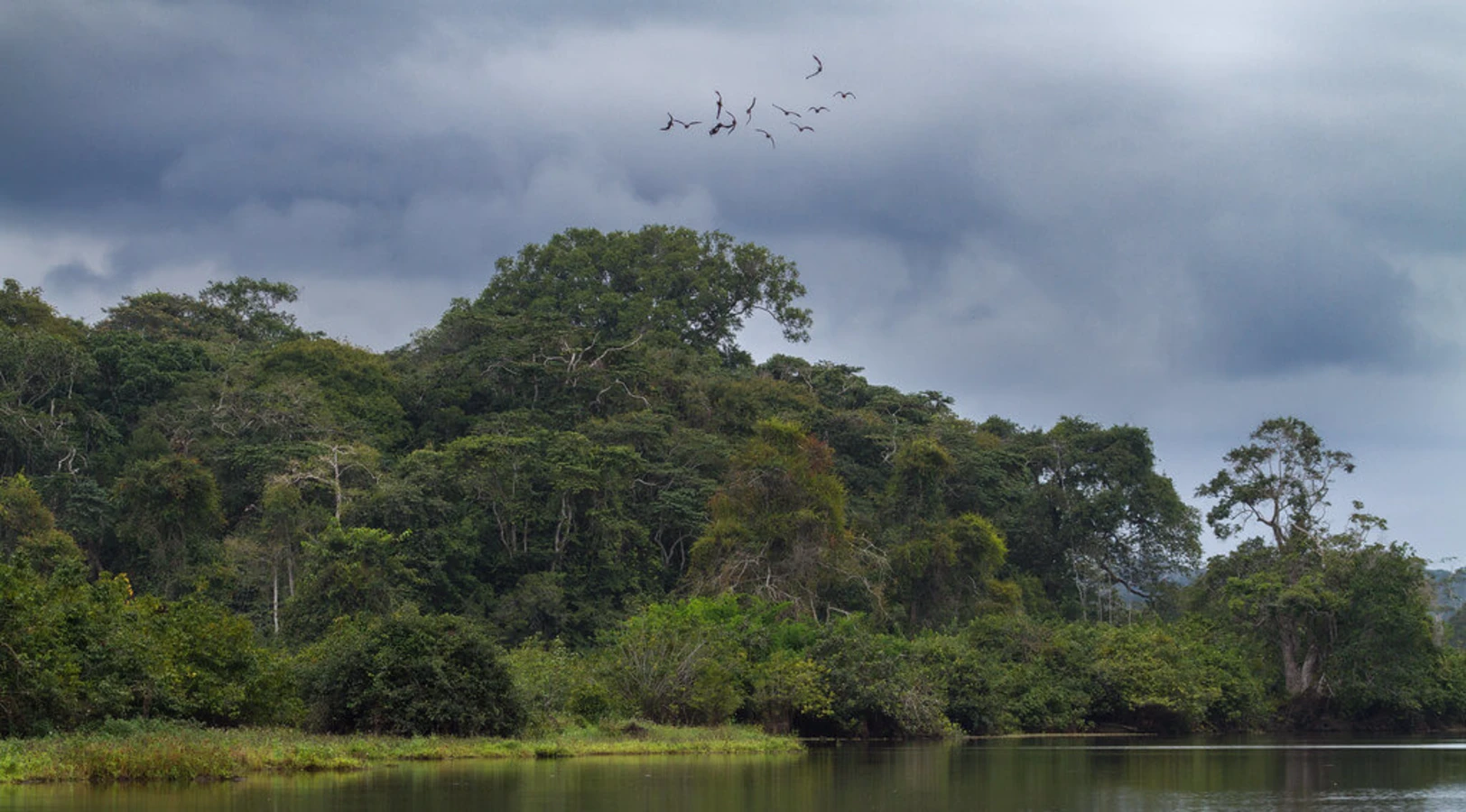 Parc national de Loango, Gabon