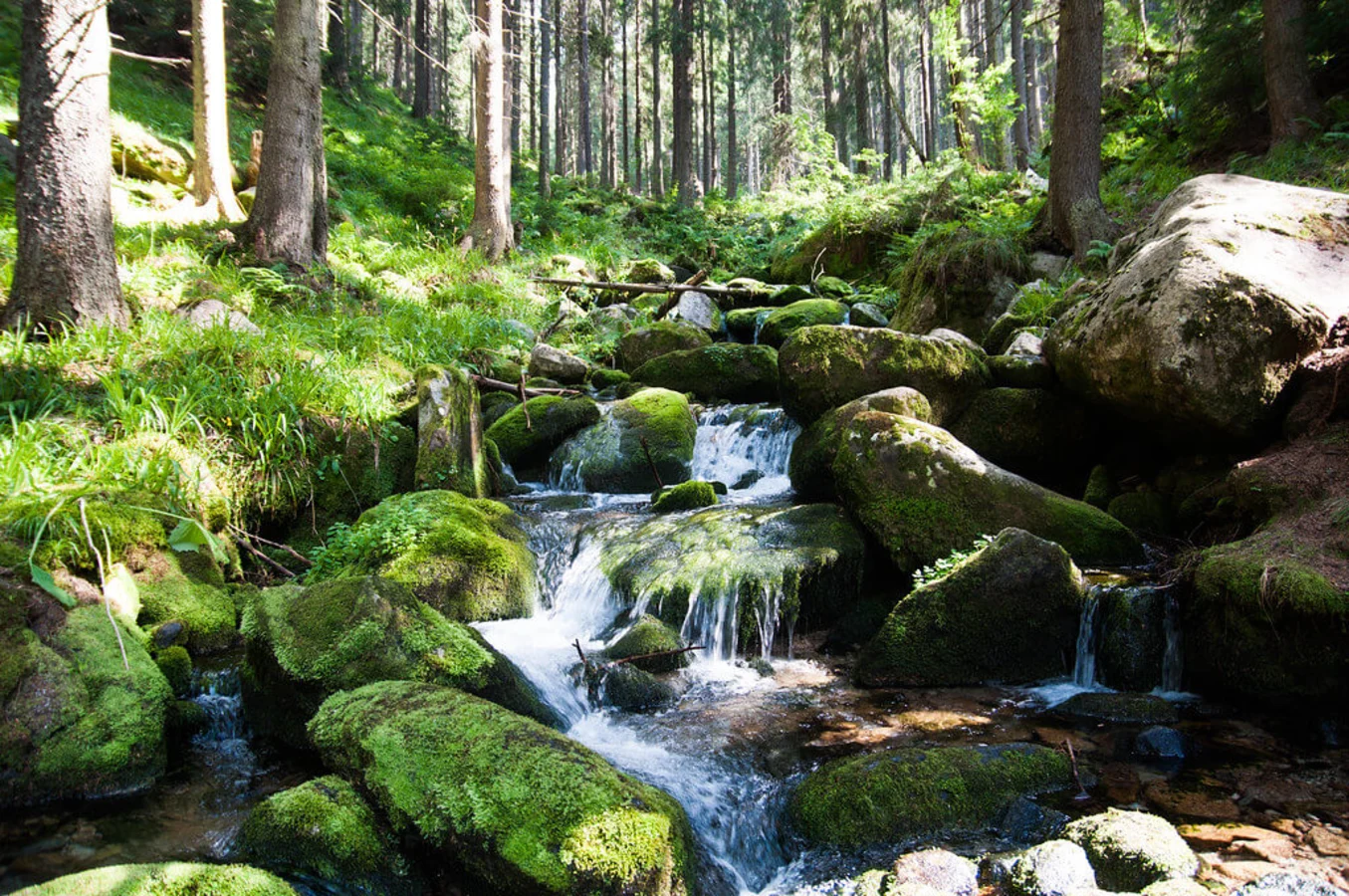 Parc national de Retezat, Roumanie