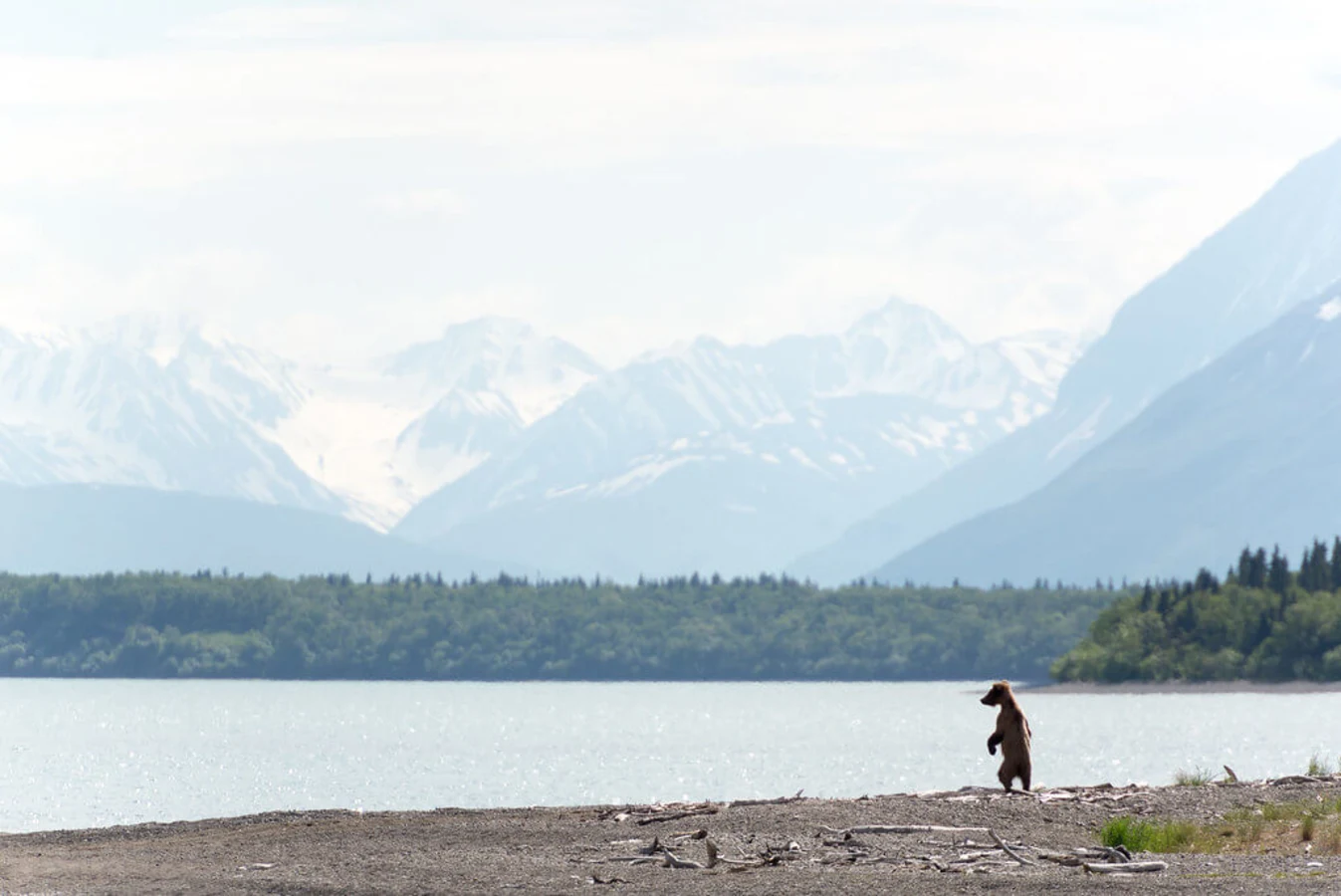 Parc national et réserve de Katmai, États-Unis