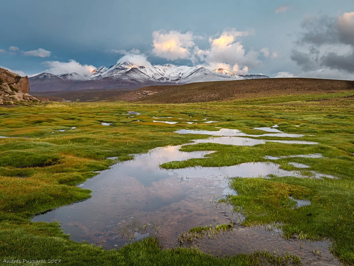 Parc national Lauca, Chili
