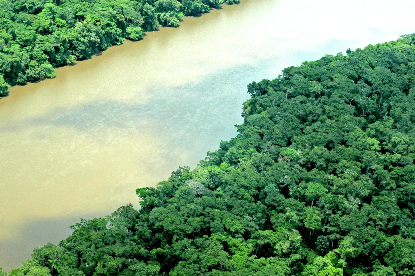 Réserve naturelle de Chinko, République centrafricaine