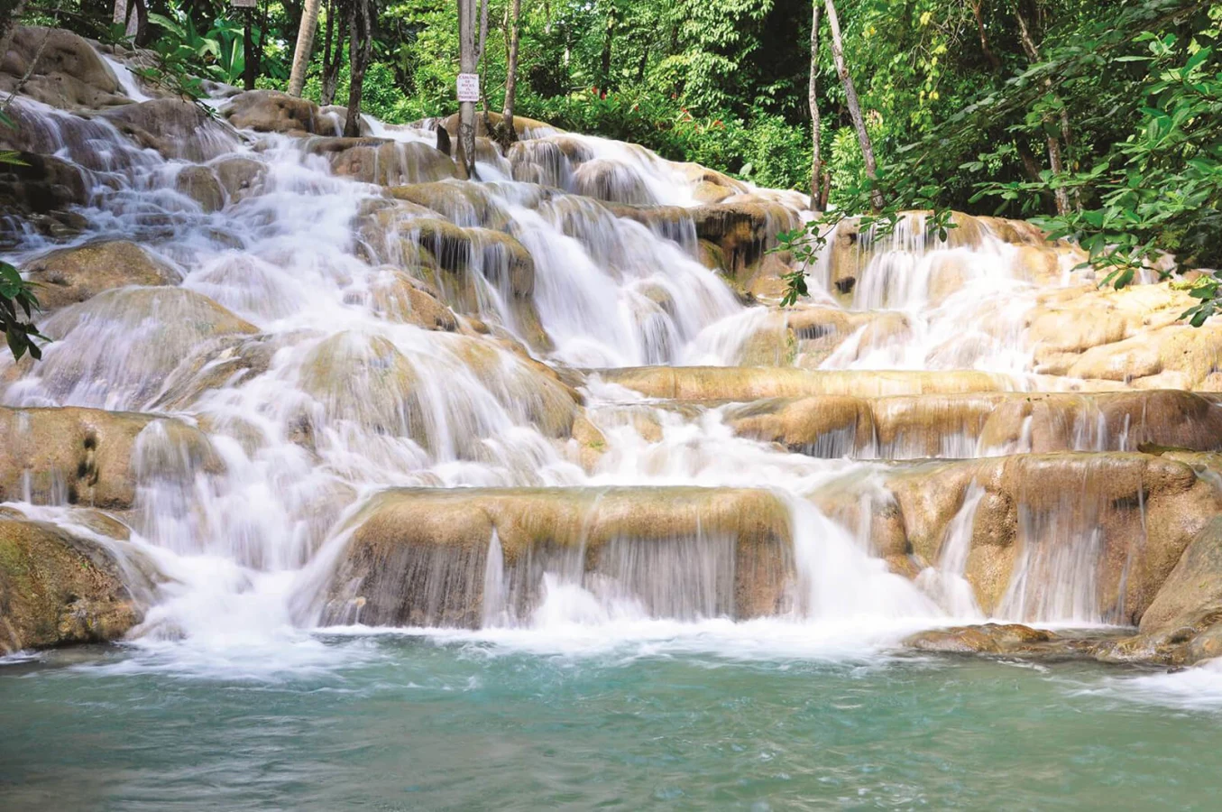 Chutes de la Dunn, Jamaïque