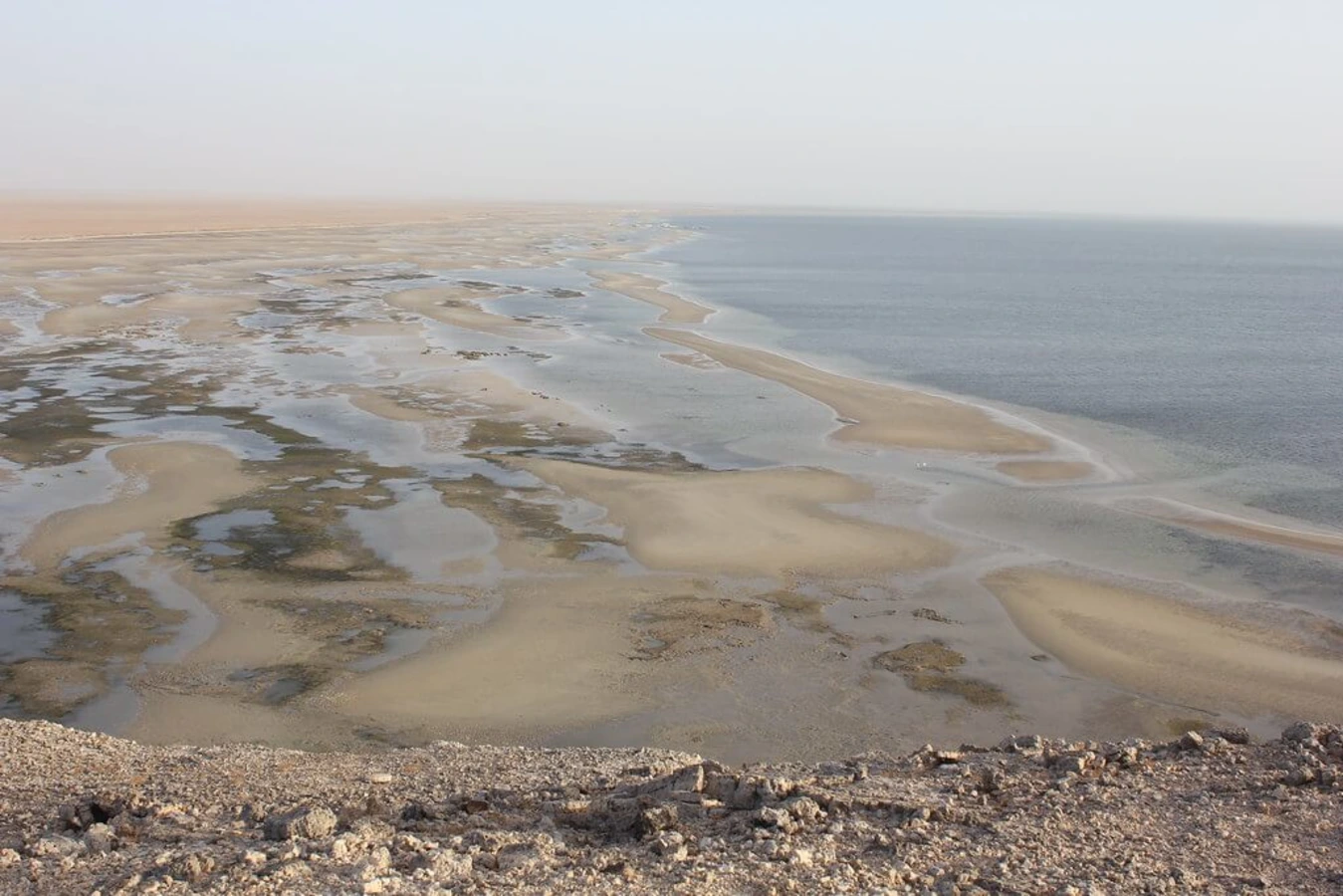Île d'Arguin, Mauritanie