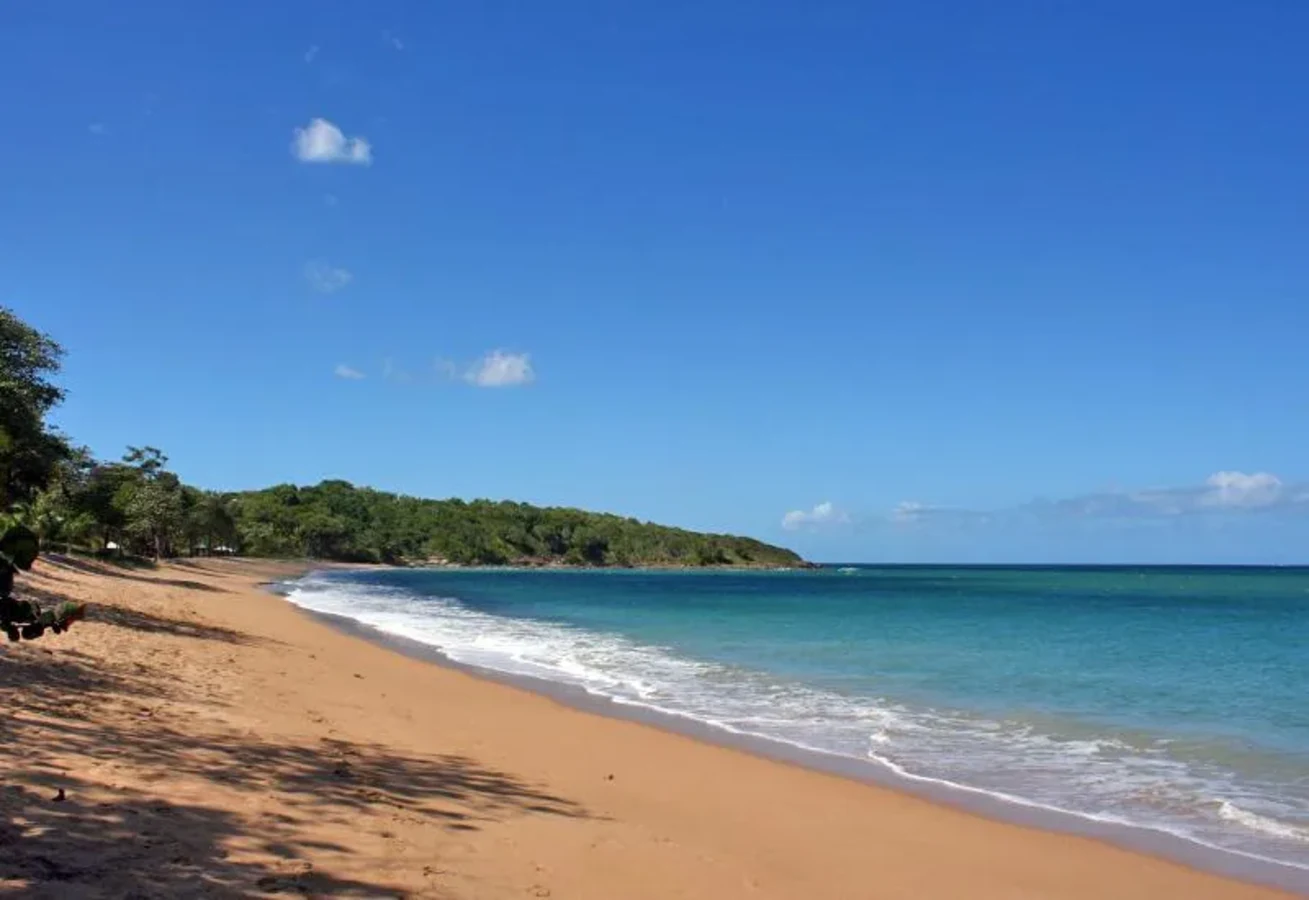 Plage des Amandiers, Guadeloupe