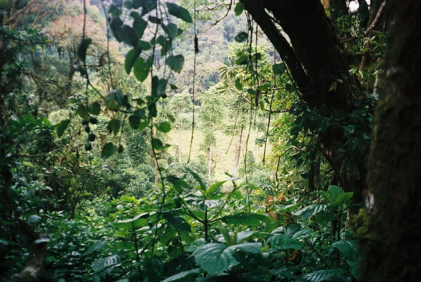 Parc naturel Obo de Sao Tomé, Sao Tomé-et-Principe