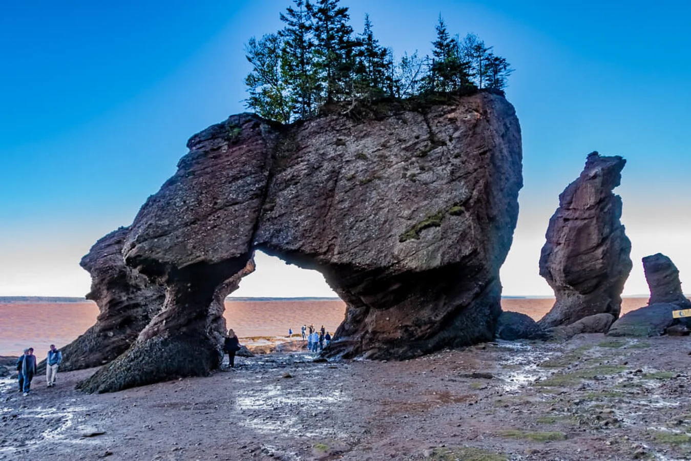Parc provincial Hopewell Rocks, Canada