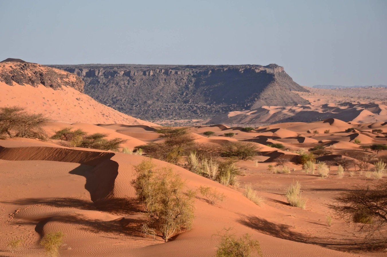 Plateau du Tagant, Mauritanie
