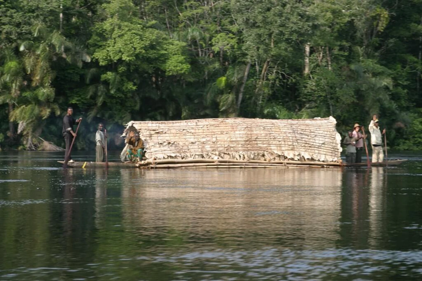 Parc national de la Salonga, République démocratique du Congo
