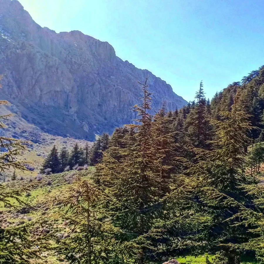 Tala Guilef, Algérie