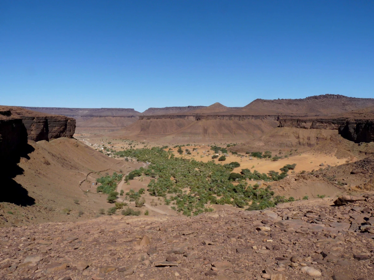 Tergit, Mauritanie