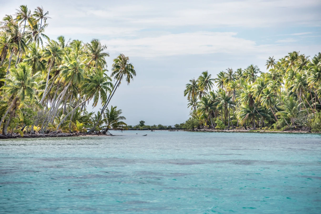 Jardin de corail de Tahaa, Polynésie française