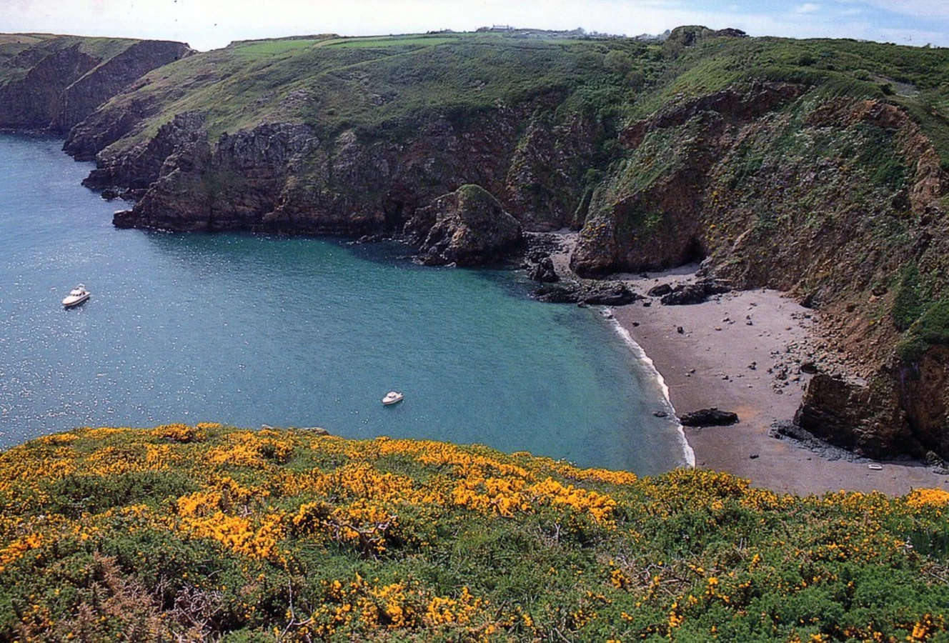 Baie de Dixcart, Angleterre