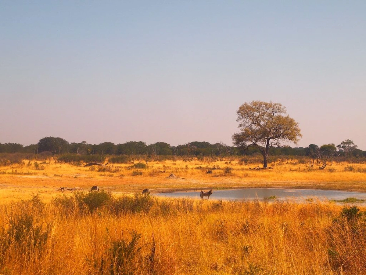 Parc national Hwange, Zimbabwe