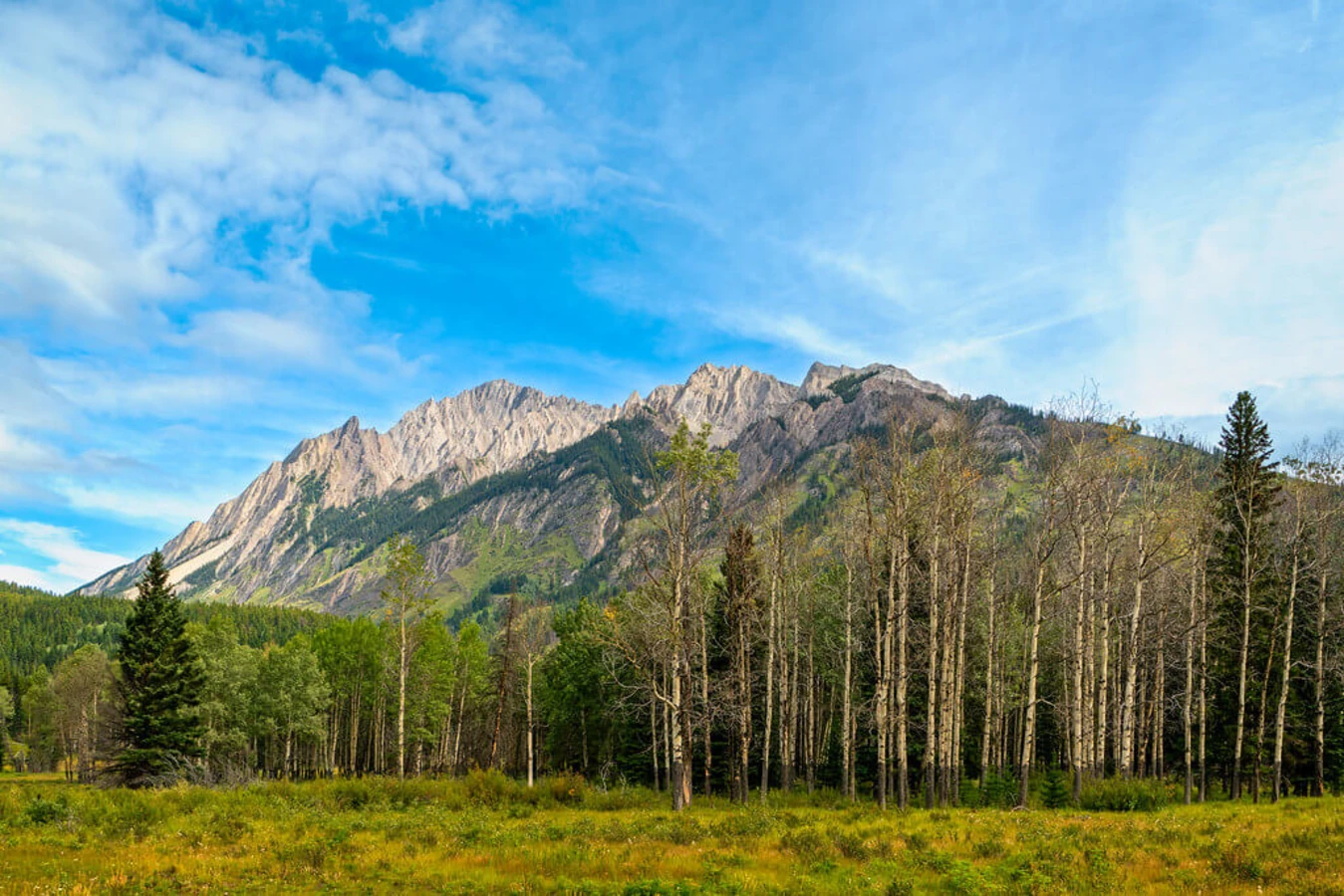 Parc provincial sauvage de Bow Valley, Canada