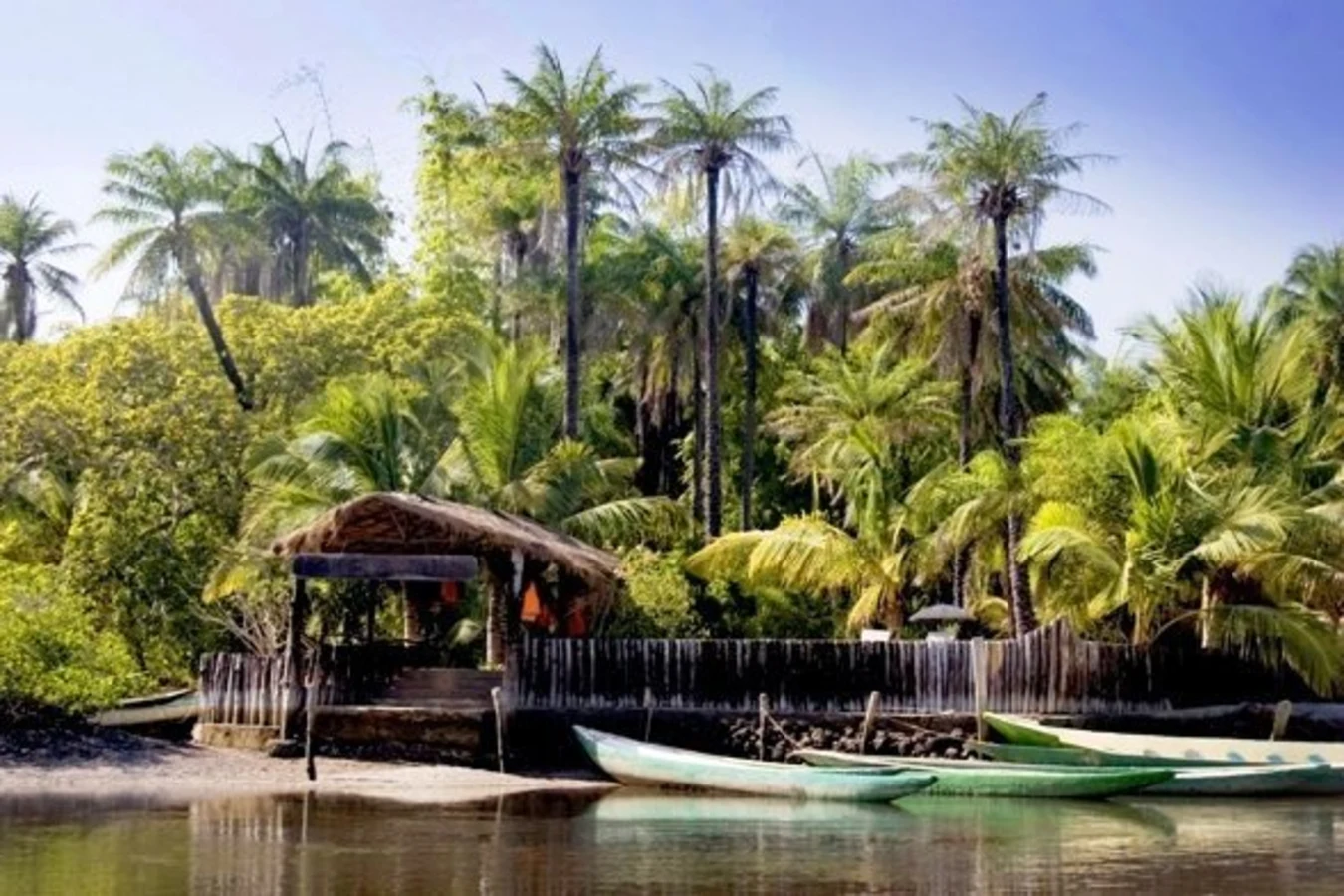 Makasutu Culture Forest, Gambie