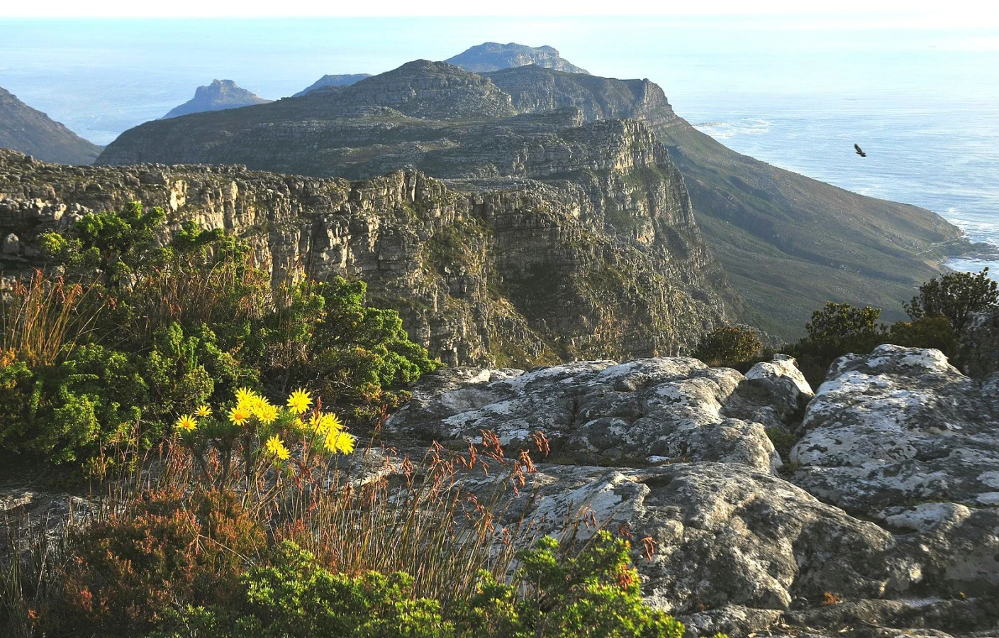 Montagne de la Table, Afrique du Sud